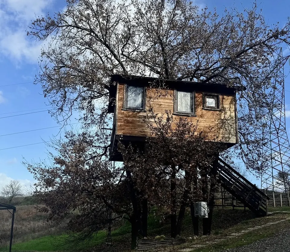 Casa sull'albero, foto 2