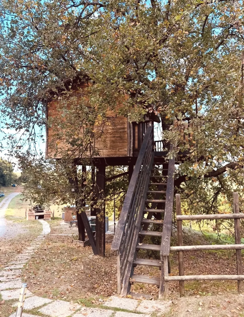Casa sull'albero, foto 7