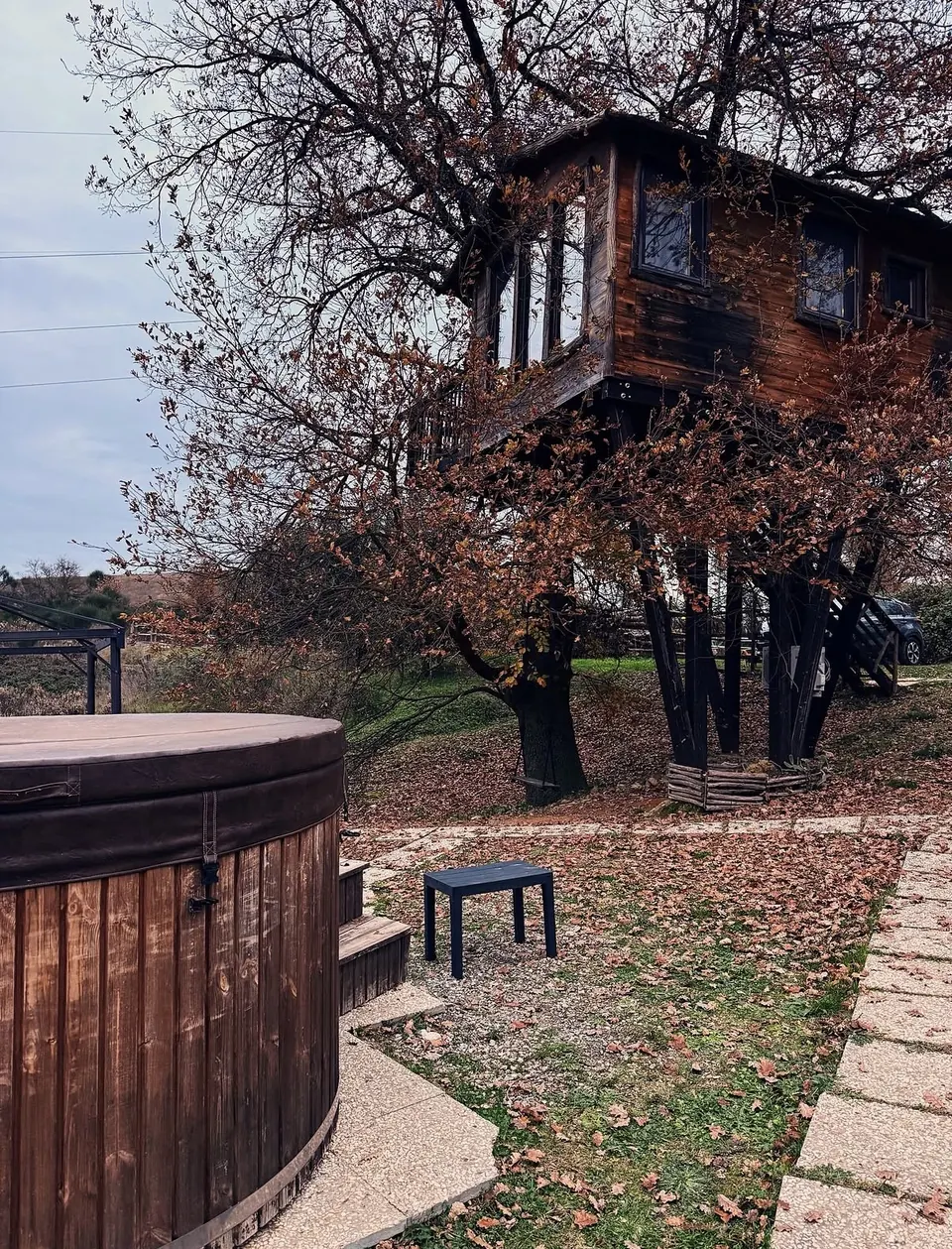 Casa sull'albero, foto 8